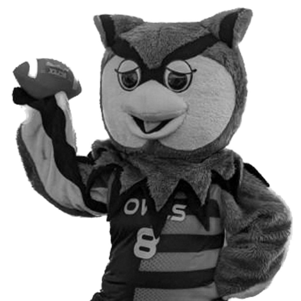 Ethos owl mascot Owlfalfa