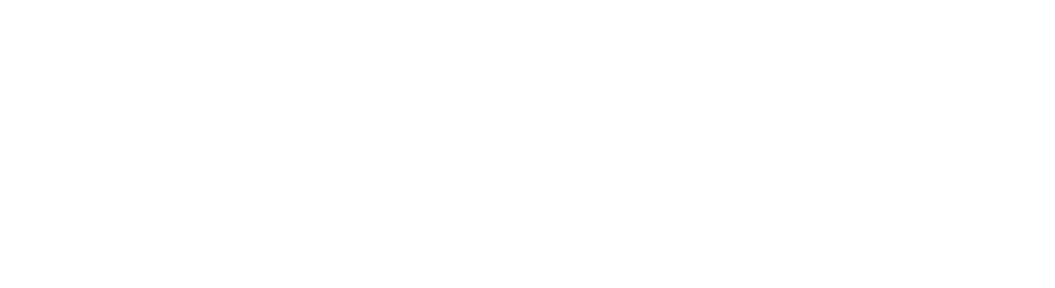 Soaring to Excellence